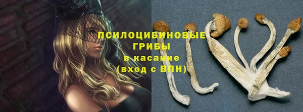 ALPHA PVP Аркадак