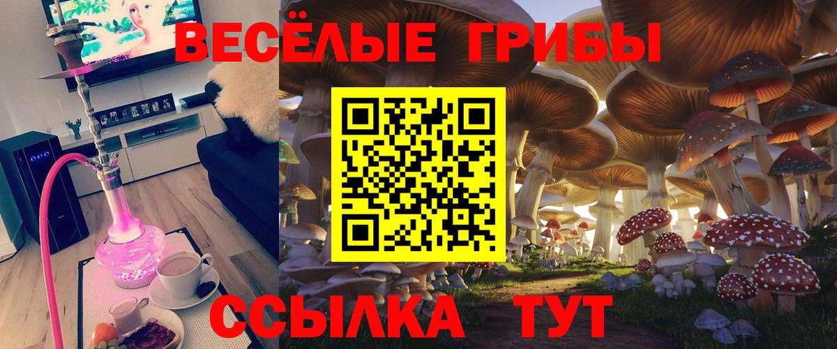 Псилоцибиновые грибы GOLDEN TEACHER Белово