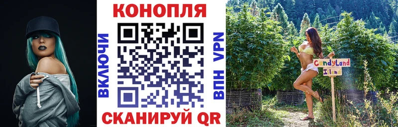 Конопля Bruce Banner  дарнет шоп  Белово 